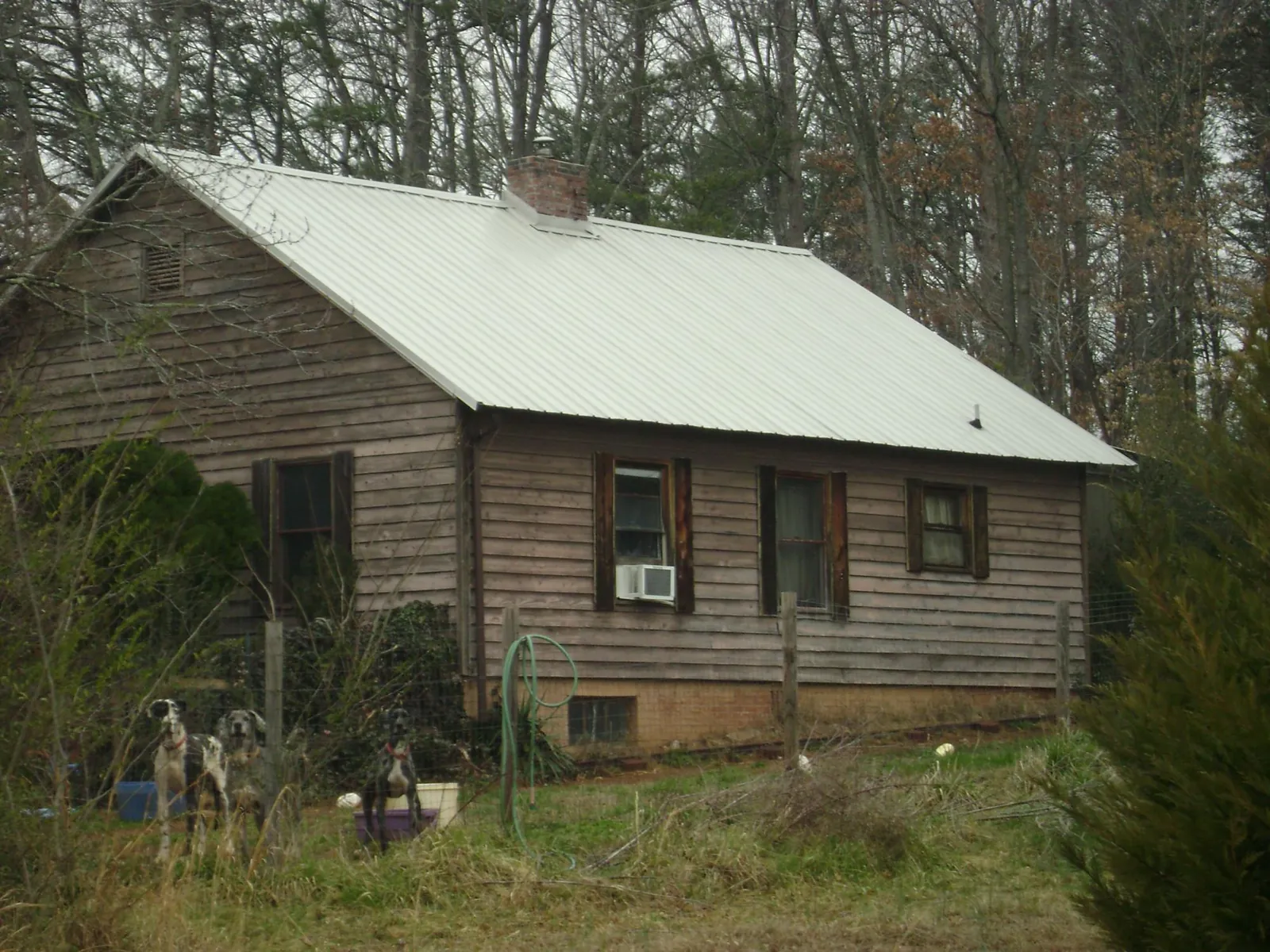 White metal roof on an old wood sided farmhouse, from a Metal Roof Installation job in Siletz